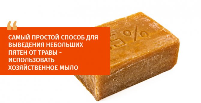Как в два счета вывести пятна от травы с одежды